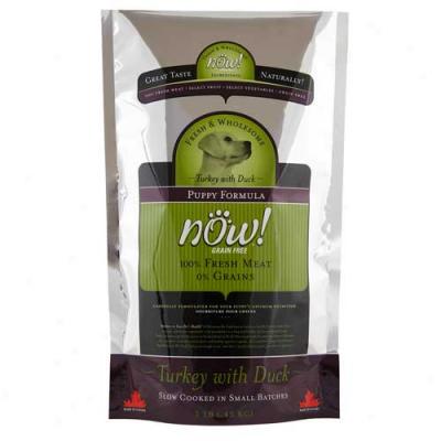 Now Grain Free Render Free Turkey And Duck Puppy Food 6lbs