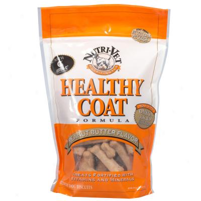 Nutri-vet Healthy Coat Dog Biscuits