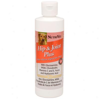 Nutri-vet Hip And Jount More Liquid