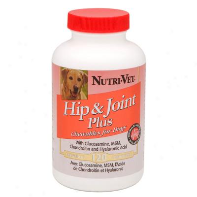 Nutri-vet Hip And Joint Plus