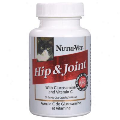 Nutri-vet Hip & Joint Feline Supplements