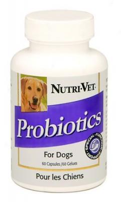 Nutri-vet Probiotics Dog Supplement