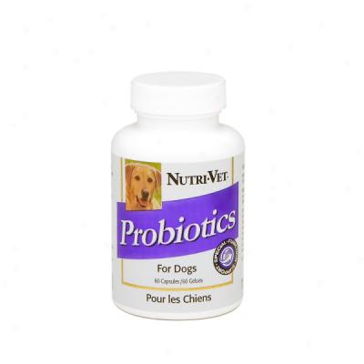 Nutri-vet Probiotics For Dogs