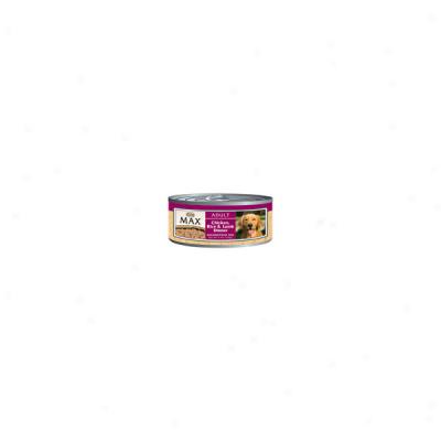 Nutro Max Chicken, Rice And Lamb Canned Dog Food