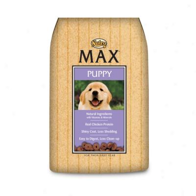 Nutro Max Puppy Formula Food