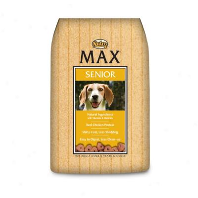 Nutro Max Senior Dog Food