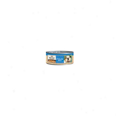 Nutro Max Importance Control Canned Dog Food