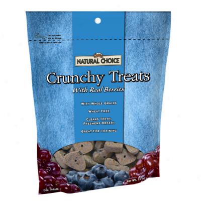 Nutro Natural Choice Crunchy Treats