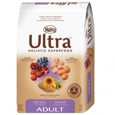 Nutro Ultra Adult Food For Dogs