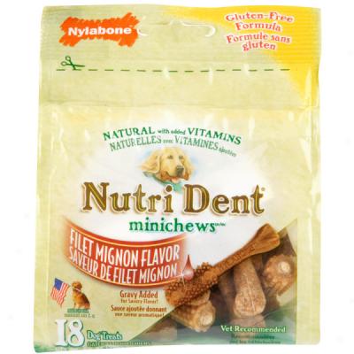 Nylabone Nutrident Edible Dental Chews