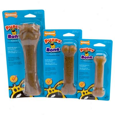 Nylabone Puppy Bone