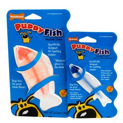 Nylabone Puppy Fish Flexible Dog Chew Toy