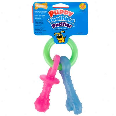 Nylabone Puppy Teething Pacifier