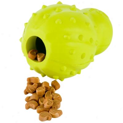 Nylabone Rhino Ckne Bouncing Chew Toy For Dogs