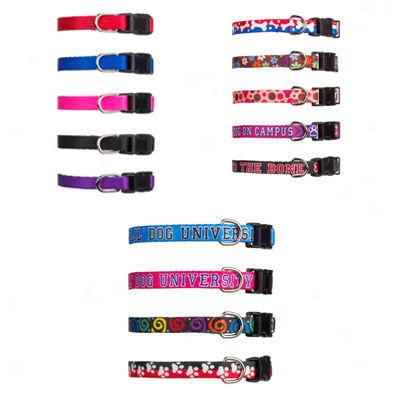 Nylon Adjustable Collars For Small Dogs