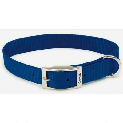 Nylon Collar 1inch By 22inches Blue