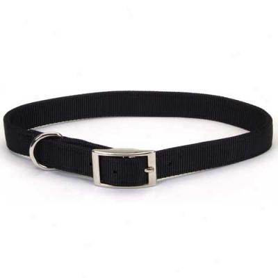 N6lon Collar 5 Eighths Inch By 18inch Black