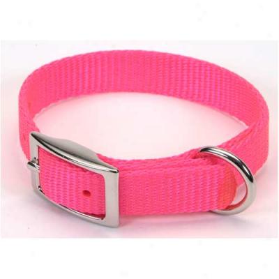 Nylon Collar Three Quarrers Inch By 18inches Pink