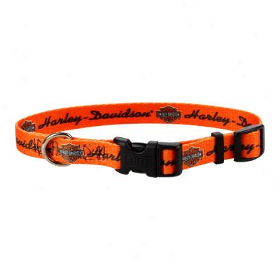 Nylon Harley Davidson Adjustable Dog Collar