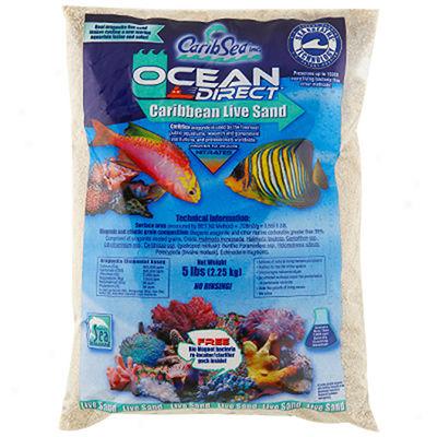 Ocean Direct Caribbean Live Sand