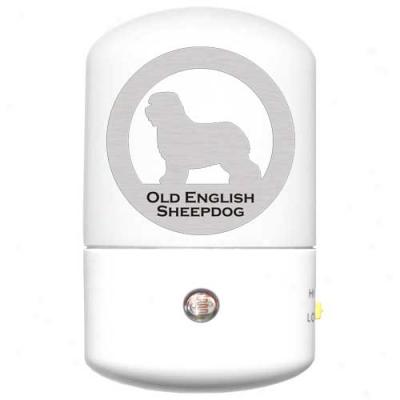 Old English Sheepdog Led Night Gossamery