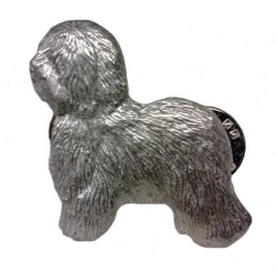 Old English Shepherd dog Pewter Shut up