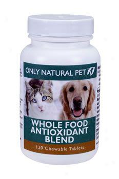 Only Natural Pet Whole Food Antioxidant Blend