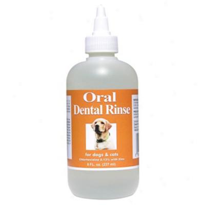 Oral Dental Rinse Withh Chlorhexidine For Dogs And Cats, 8oz