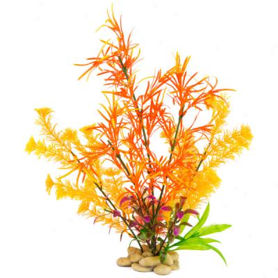 Orange Aquarium Plants With Rock Base