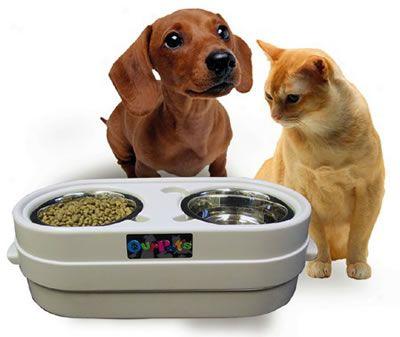Our Pet's Store-n-feed Pet Bowl Jr. (ss)