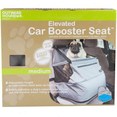 Outward Hound Elevated Car Booster Seat