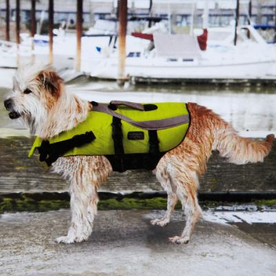 Outward Hound Pet Saver Lifejacket