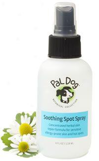 Pal Dog Soothing Spot Twig 4 Oz