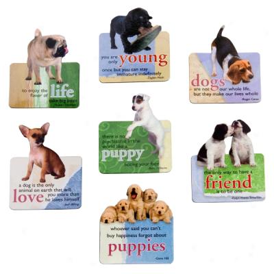 Paper House Productions Dog Wisdom Magnets