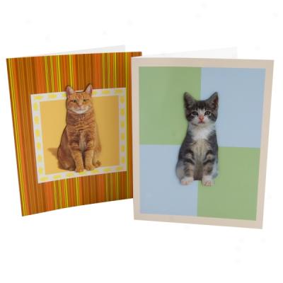 Paper House Productions Kitty Magnet Card