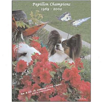 Papillon Champions, 1969-2002