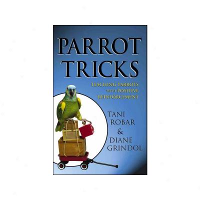 Parrot Tricks: Teaching Parrots With Positive Reinforcement