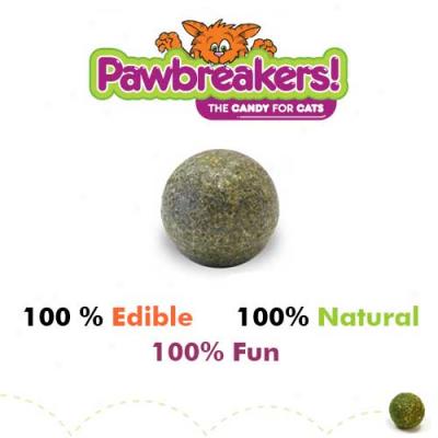 Pawbreqiers Catnip Ball