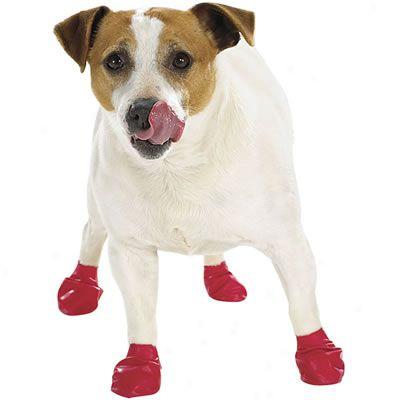 Pawz Bioodegradable Natural Dog Boots L