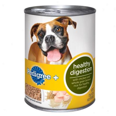 Pedigree+ Healthy Digestion In Cans