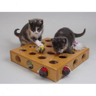 Toy Box For Cats