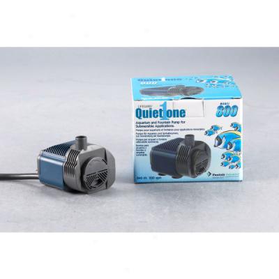 Pentair Aquatics Lifegard Quiet One Wet/dry Pumps For Fountains Or Aquariums