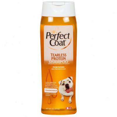 Perfect Coat Tearless Protein Shampoo