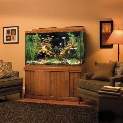 Perfecto 120 Gallon Long Glass Black Aquarium With Canopy