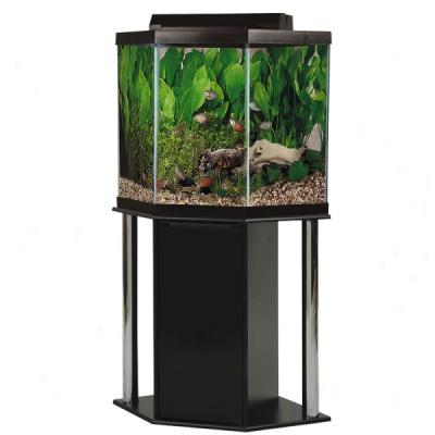 Perfecto 44 Gallon Pentagon Glass Aquarium