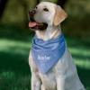 Personalized Chambray Dog Bandana