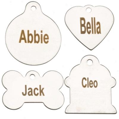 Personalized Stainless Steel Pet Id Tags - Large