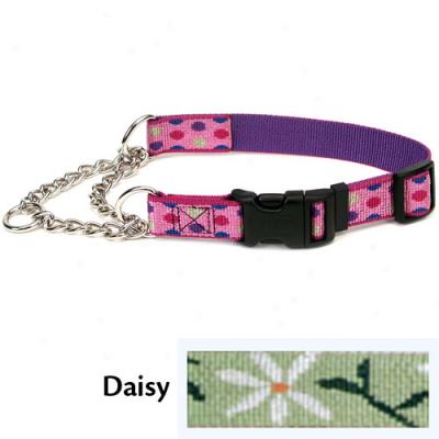 Pet Attire Check-choke Collar Three Eighths X 11-15inch Daisy