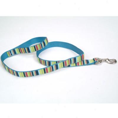 Pet Attire Multi Stripe Ribbon Lead 5 Eighths X 4 Foot