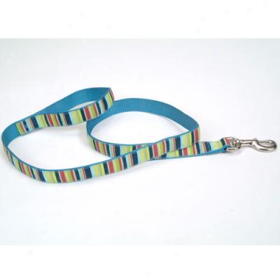 Pet Attire Multi Stripe Ribbon Lead 5 Eighths X 6 Foot